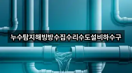 누수탐지해빙방수집수리수도설비하수구
