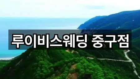 루이비스웨딩 중구점