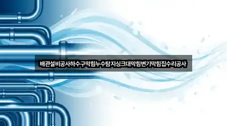배관설비공사하수구막힘누수탐지싱크대막힘변기막힘집수리공사