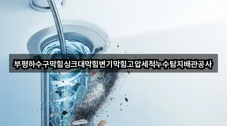 부평하수구막힘싱크대막힘변기막힘고압세척누수탐지배관공사