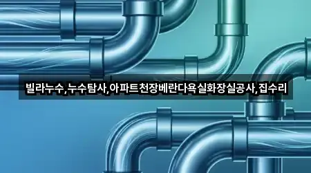 빌라누수,누수탐사,아파트천장베란다욕실화장실공사,집수리