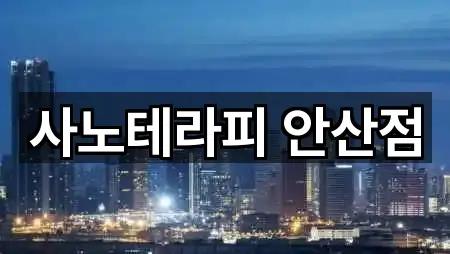 사노테라피 안산점