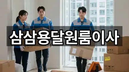 삼삼용달원룸이사