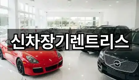 신차장기렌트리스