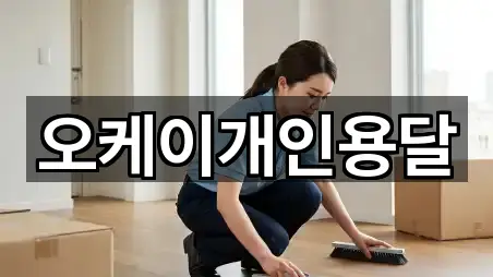 오케이개인용달