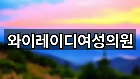 와이레이디여성의원