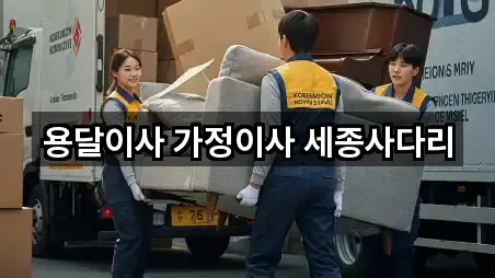 용달이사 가정이사 세종사다리