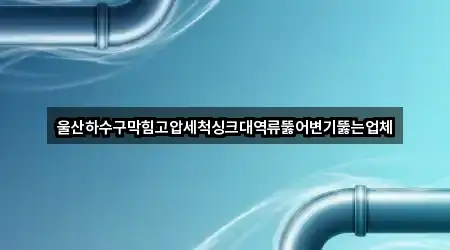 울산하수구막힘고압세척싱크대역류뚫어변기뚫는업체