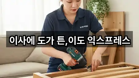 이사에 도가 튼,이도 익스프레스