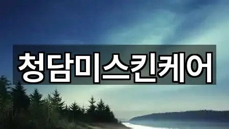 청담미스킨케어