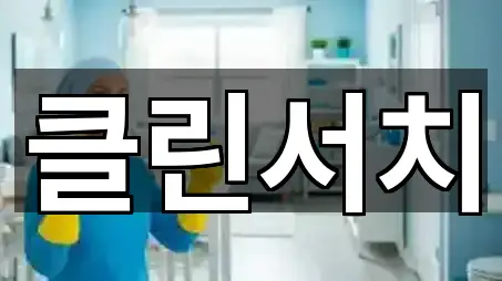 클린서치
