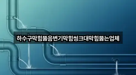 하수구막힘뚫음변기막힘씽크대막힘뚫는업체