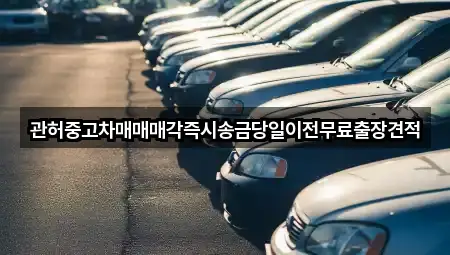 콜 한 번에: 가업동 중고차 5곳