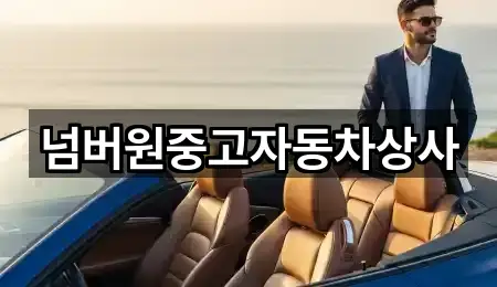 넘버원중고자동차상사