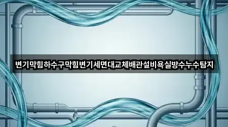변기막힘하수구막힘변기세면대교체배관설비욕실방수누수탐지