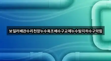보일러배관수리천장누수욕조배수구교체누수탐지하수구막힘