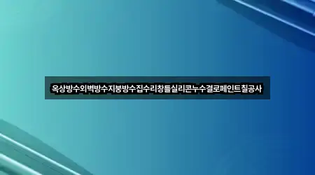 옥상방수외벽방수지붕방수집수리창틀실리콘누수결로페인트칠공사