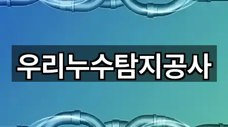 우리누수탐지공사
