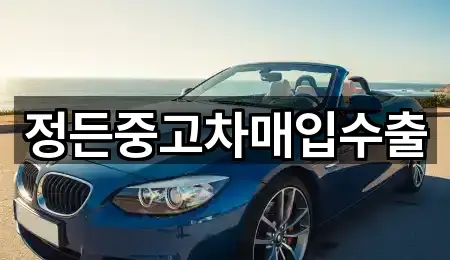 정든중고차매입수출