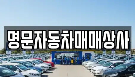 강원 강릉시 입암동 중고차 전문 명문자동차매매상사