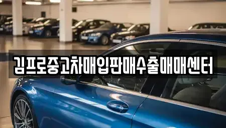 강원 강릉시 입암동 중고차매입 전문 김프로중고차매입판매수출매매센터