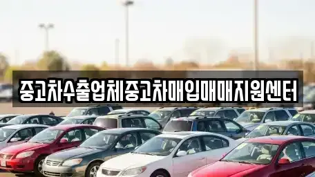 강원 강릉시 입암동 중고차매입 전문 중고차수출업체중고차매입매매지원센터