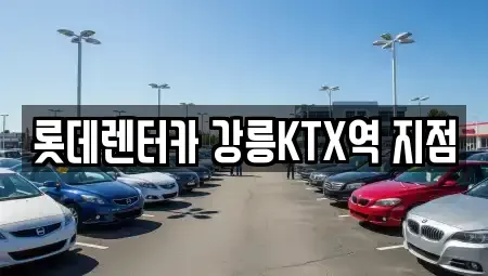 강원 강릉시 포남동 렌트카 전문 롯데렌터카 강릉KTX역 지점