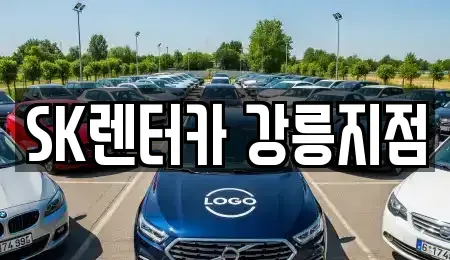 강원 강릉시 포남동 장기렌트카 전문 SK렌터카 강릉지점