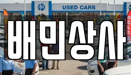 강원 강릉시 포남동 중고차 전문 배민상사