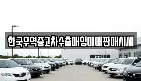 강원 강릉시 포남동 중고차,렌트카,중고차매입,중고차매매,장기렌트카,단기렌트카