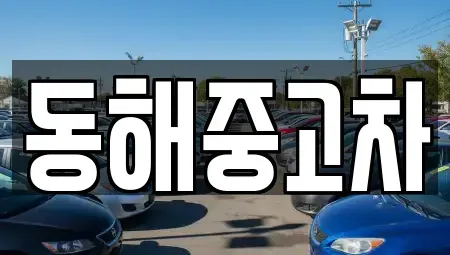 강원 동해시 구호동 중고차 전문 동해중고차