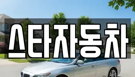 강원 동해시 구호동 중고차 전문 스타자동차