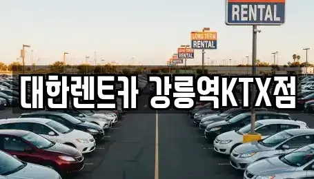 강원특별자치도 강릉시 사천면 렌트카 전문 대한렌트카 강릉역KTX점