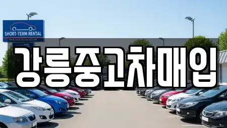 강원특별자치도 강릉시 사천면 중고차매매 전문 강릉중고차매입