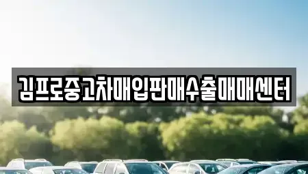 강원특별자치도 고성군 중고차매입 전문 김프로중고차매입판매수출매매센터