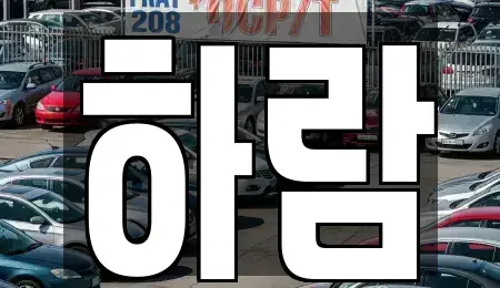 강원특별자치도 원주시 일산동 장기렌트카 전문 하람