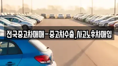 강원특별자치도 원주시 일산동 중고차 전문 전국중고차매매-중고차수출,사고노후차매입