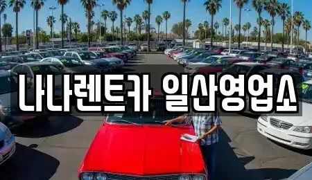 경기 고양시 일산동구 마두동 렌트카 전문 나나렌트카 일산영업소