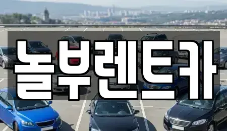 경기 고양시 일산동구 마두동 렌트카 전문 놀부렌트카