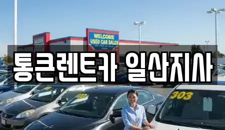 경기 고양시 일산동구 마두동 렌트카 전문 통큰렌트카 일산지사