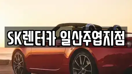 경기 고양시 일산동구 마두동 장기렌트카 전문 SK렌터카 일산주엽지점