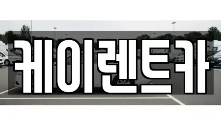 경기 고양시 일산동구 마두동 장기렌트카 전문 케이렌트카