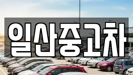 경기 고양시 일산동구 마두동 중고차 전문 일산중고차