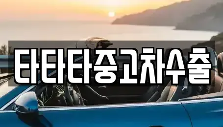 경기 고양시 일산동구 마두동 중고차 전문 타타타중고차수출