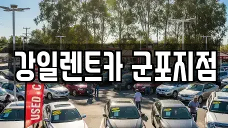 경기 군포시 도마교동 렌트카 전문 강일렌트카 군포지점