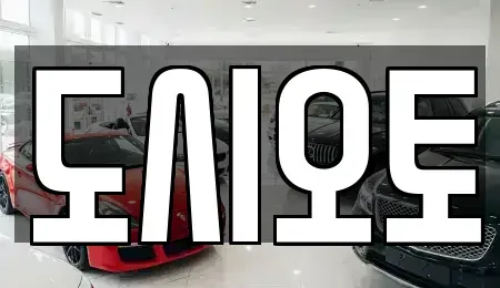 경기 군포시 도마교동 중고차 전문 도시오토