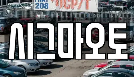 경기 부천시 원미구 상동 단기렌트카 전문 시그마오토