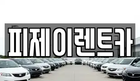경기 부천시 원미구 상동 렌트카 전문 피제이렌트카