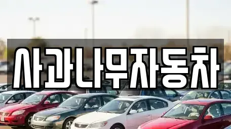 경기 부천시 원미구 상동 중고차매매 전문 사과나무자동차