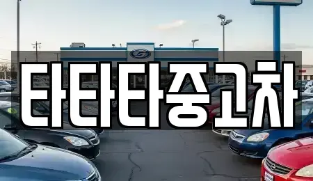 경기 부천시 원미구 상동 중고차매매 전문 타타타중고차